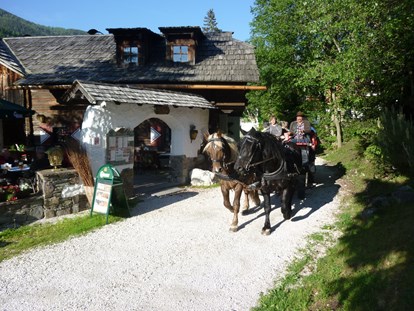 Hüttendorf - Doppelbett - Pferdekutschen-Erlebnisfahrten - Trattlers Hof-Chalets