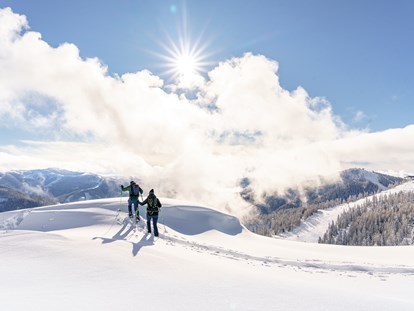 Hüttendorf - Skiraum: im Chalet - Schneeschuhwanderungen in den Kärntner Nockbergen - Trattlers Hof-Chalets