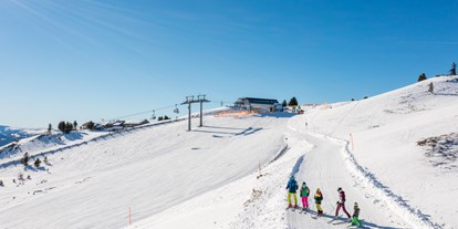 Hüttendorf - Trebesing - direkt an der Skipiste im familienfreundlichen Skigebiet Fanningberg

 - Almdorf Omlach, Fanningberg